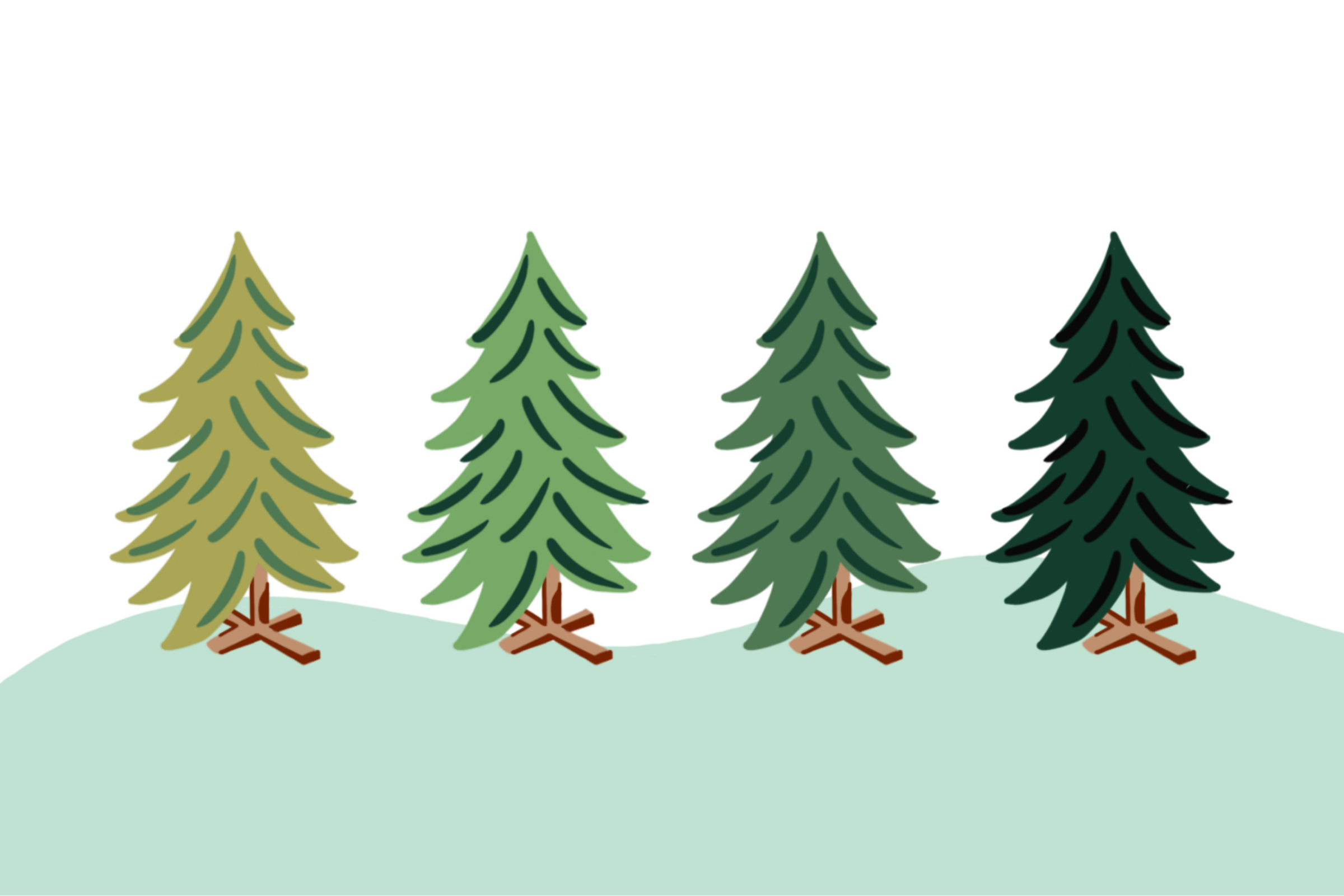 Decoding Tree Colors – Spider Spun