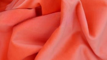 Velvet_-_Nectarine.png