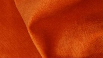 Velvet_-_Pumpkin.png