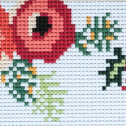 Poinsettia