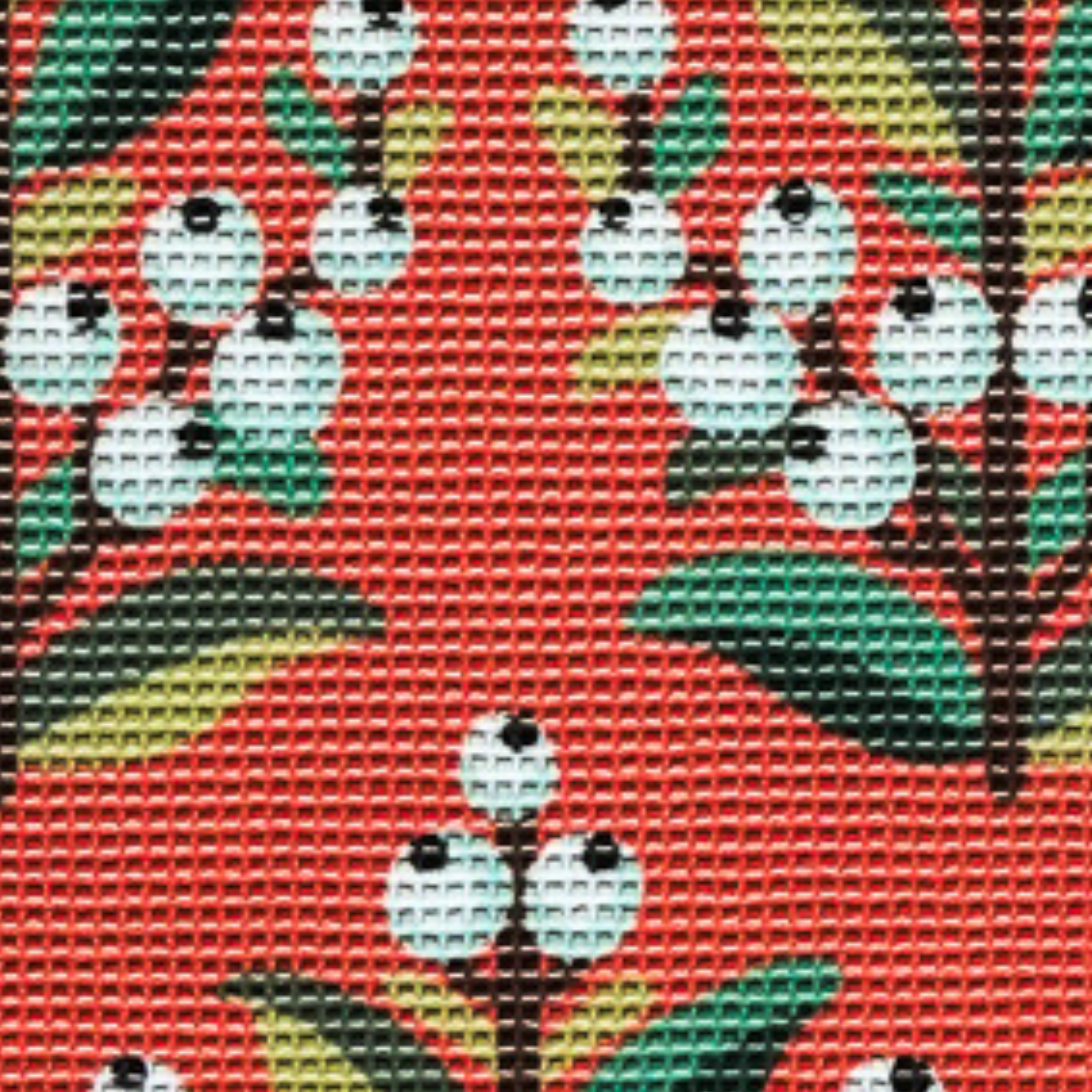 Winterberry