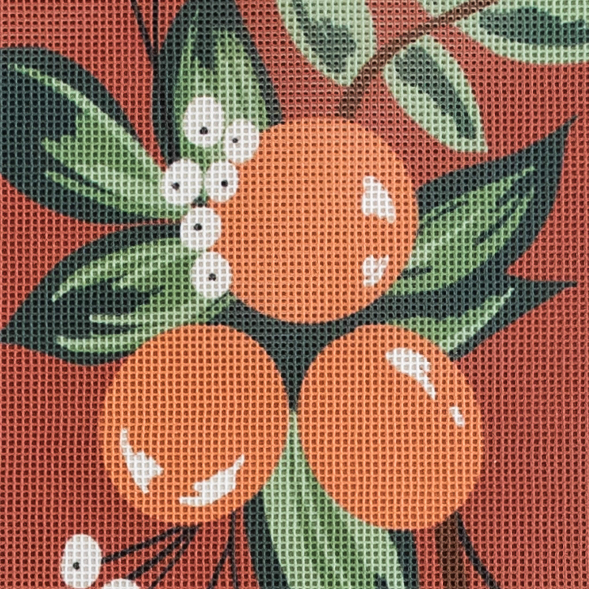 Clementine