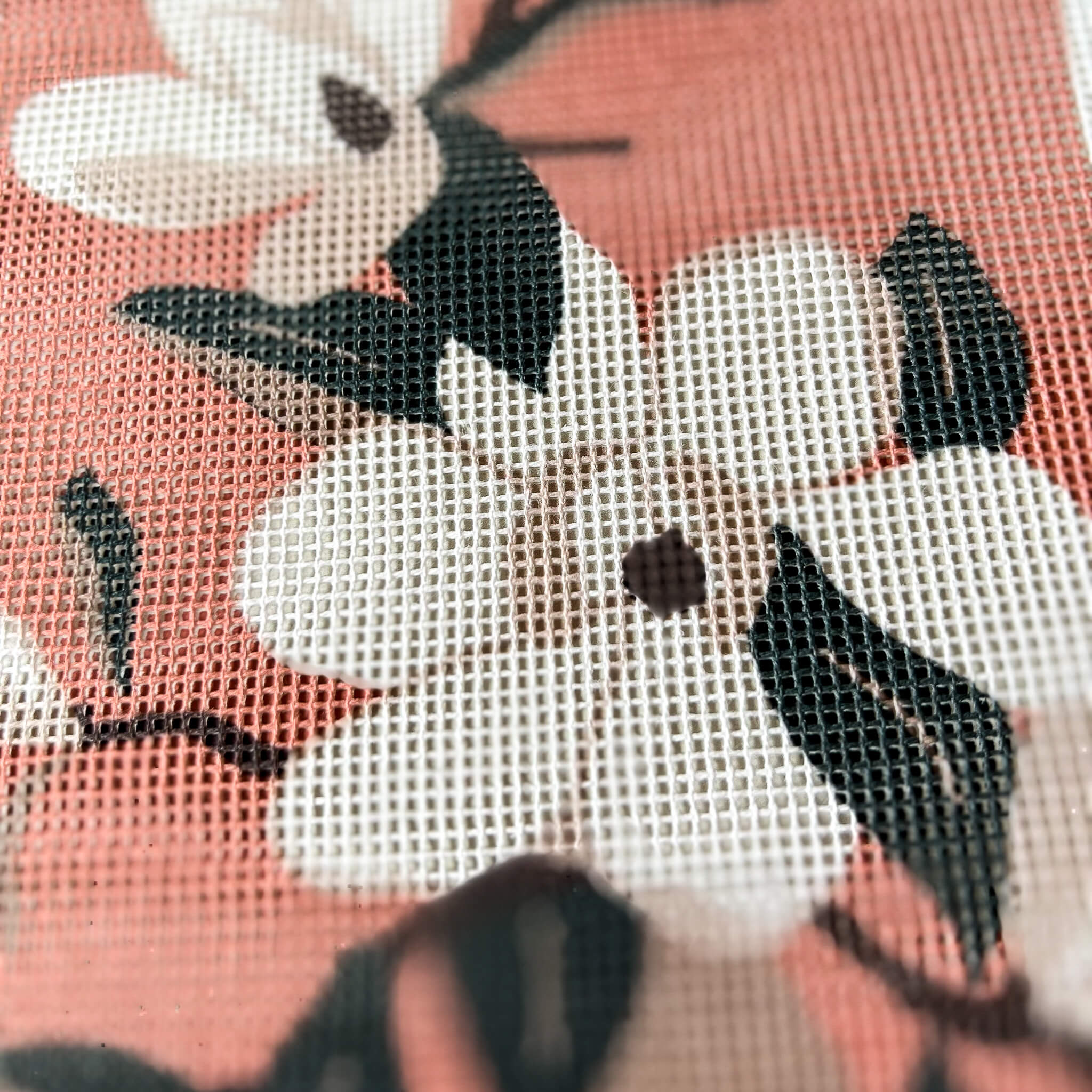 Magnolia