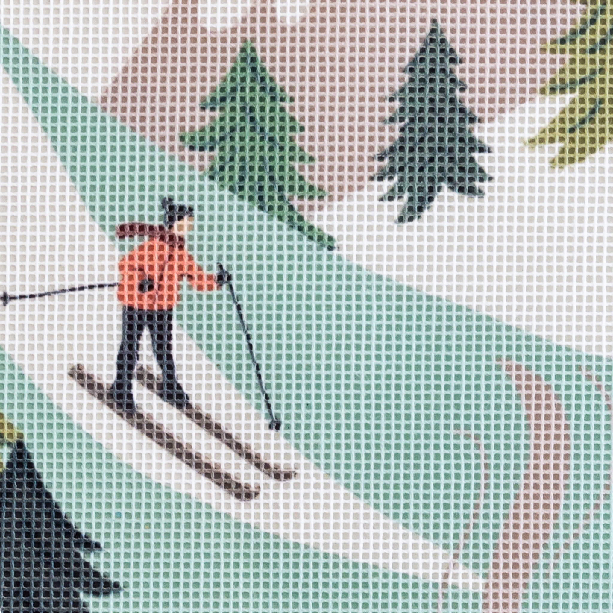 Ski Slopes