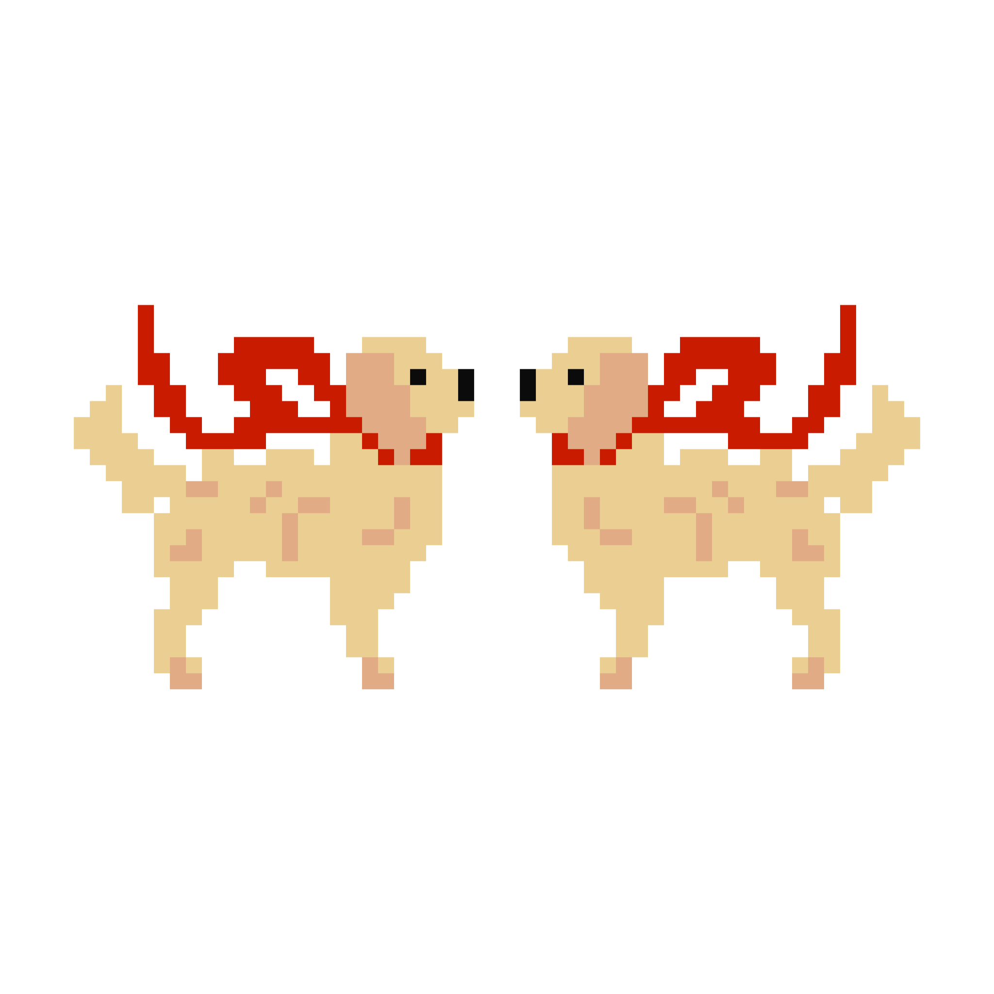 spiderspun_pet-stocking_goldendoodle.png